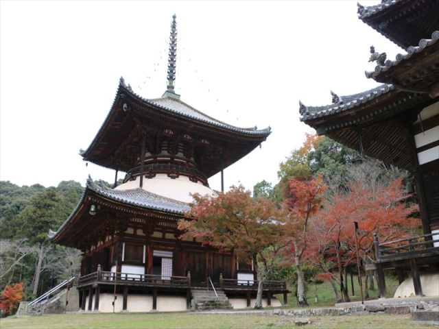 根來寺（根来寺）の紅葉