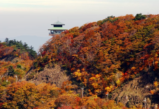 高野龍神スカイライン（護摩壇山）紅葉