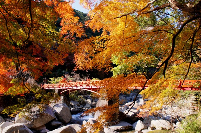 奇絶峡 紅葉