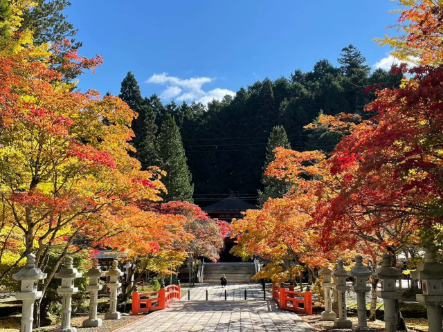 高野山の紅葉