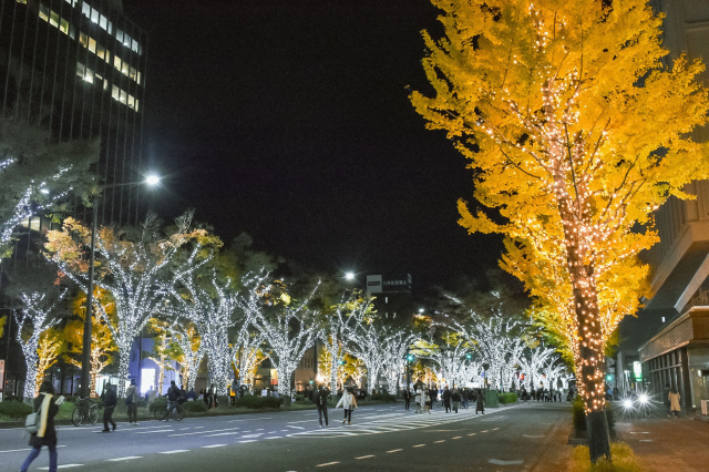 KEYAKI LIGHT PARADE by FeStA LuCe