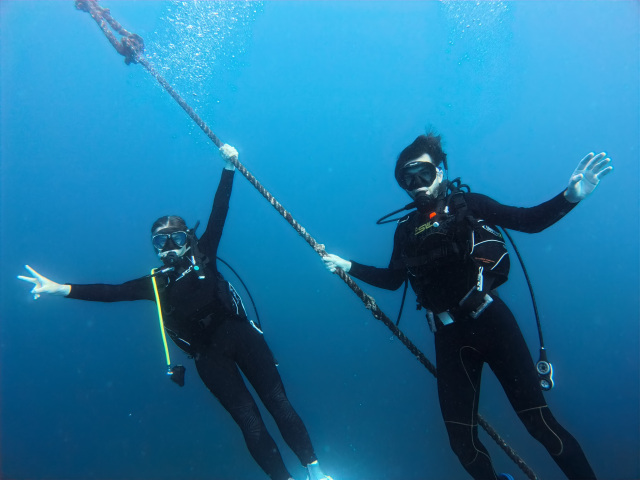 串本の海を満喫！ライセンス保有者向けファンダイビング/Aqua …