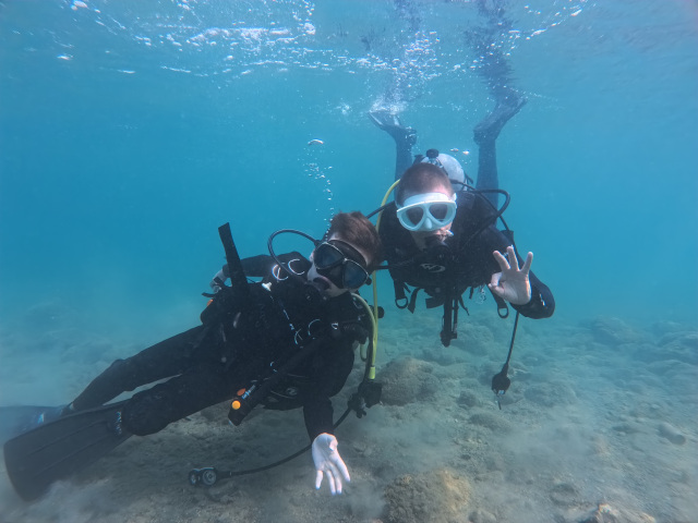 ライセンス不要　サンゴ礁がある串本の海で体験ダイビング　１…