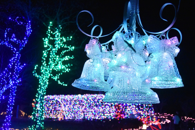 貴志川イルミネーション2025