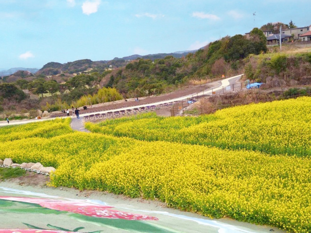 紀州 木の街 フルーツが香る 南紀の台 Yottette広場　菜の花の…