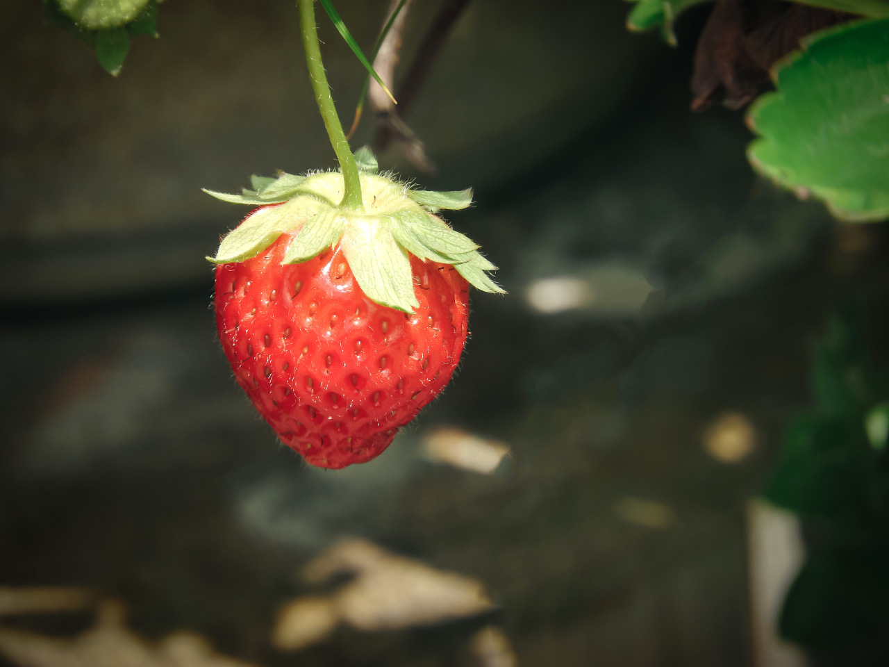 ※イメージ写真