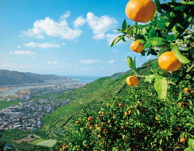 世界農業遺産認定記念シンポジウム