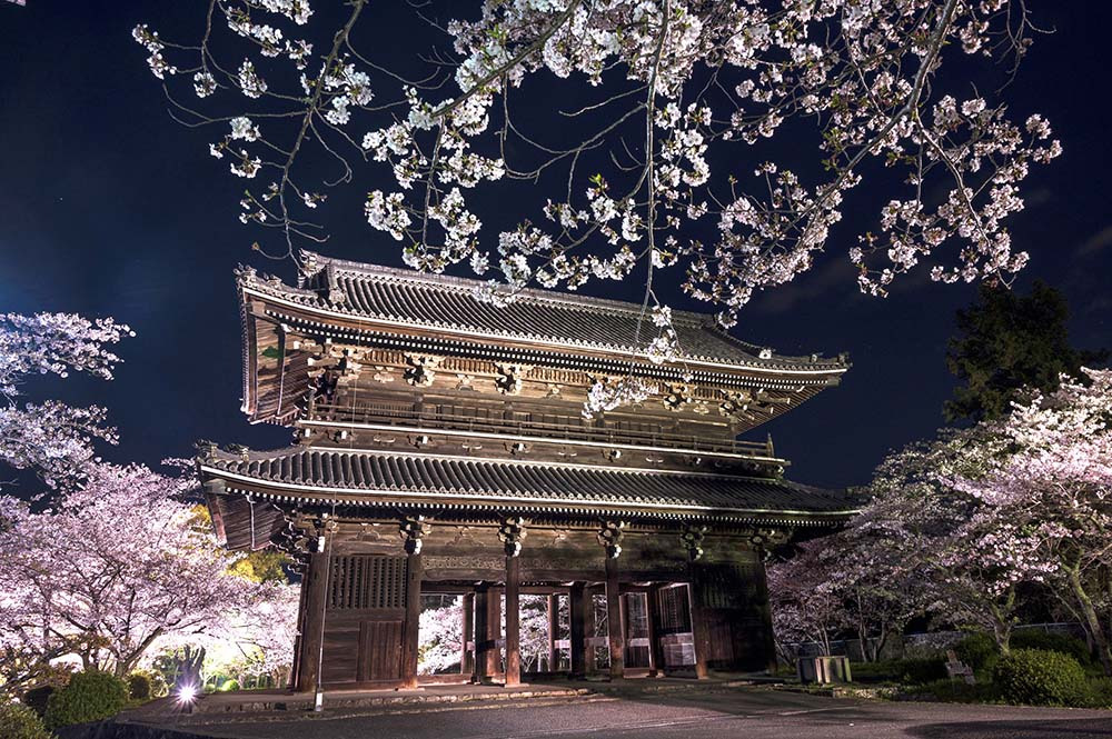 写真提供／岩出市観光協会