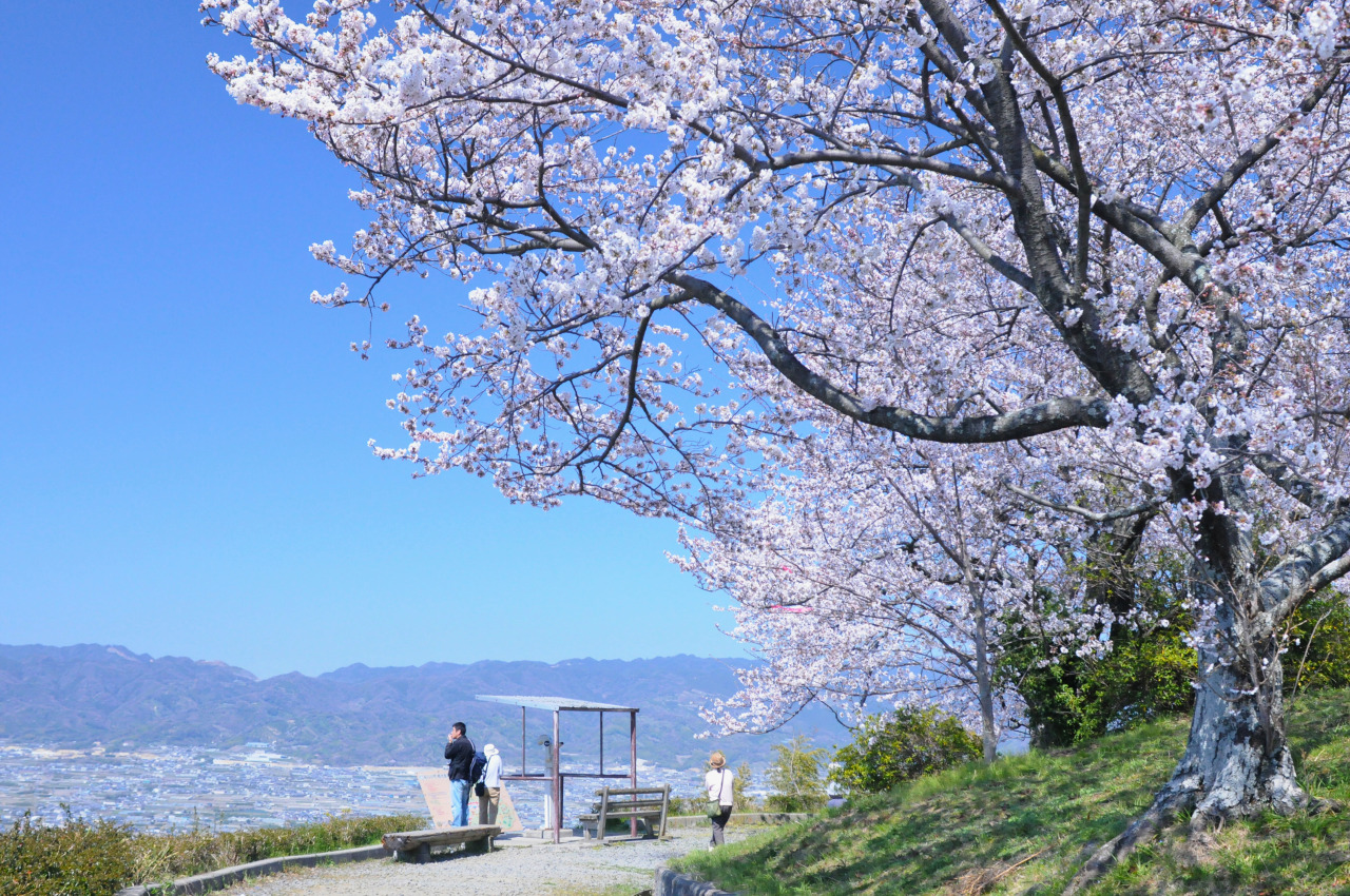 写真提供：紀の川市