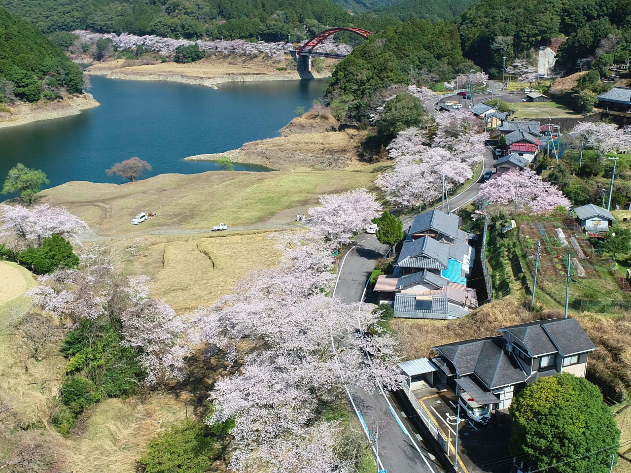 写真提供：古座川町