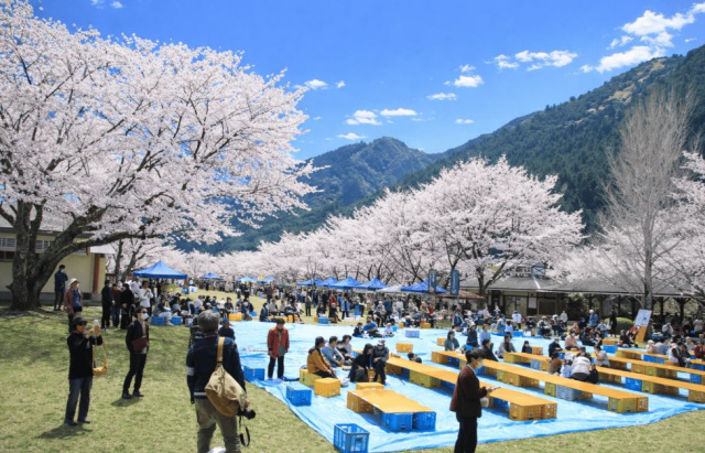 飛び地の村の桜まつり2026