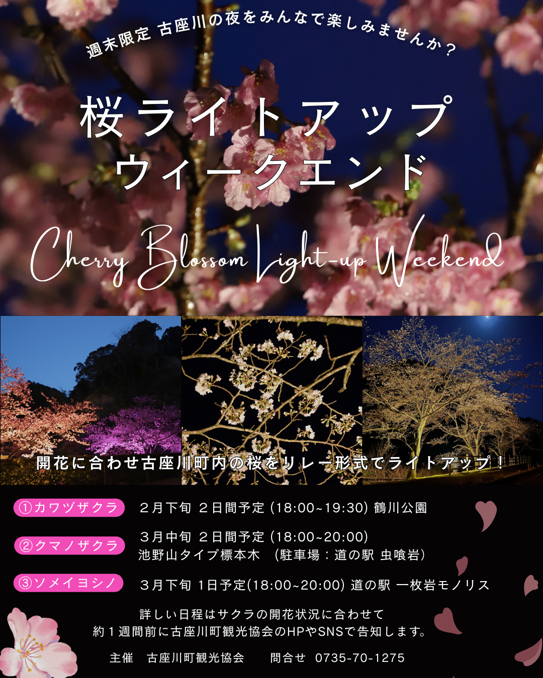 桜ライトアップウィークエンドチラシ