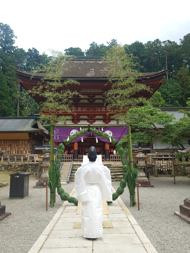丹生都比売神社　夏越の大祓式（2026年6月30日）、夏越大祓の…