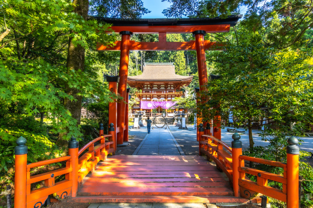 丹生都比売神社　夏詣ご朱印