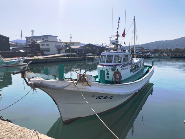 釣り体験／ニュー紀南丸