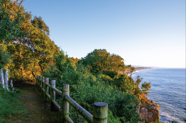 熊野古道　高野坂