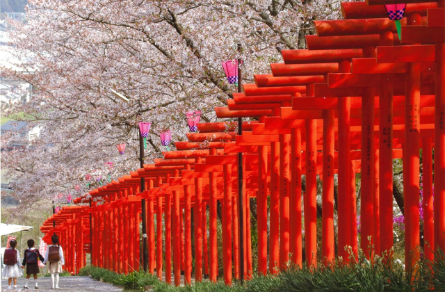 丸高稲荷神社（橋本市）