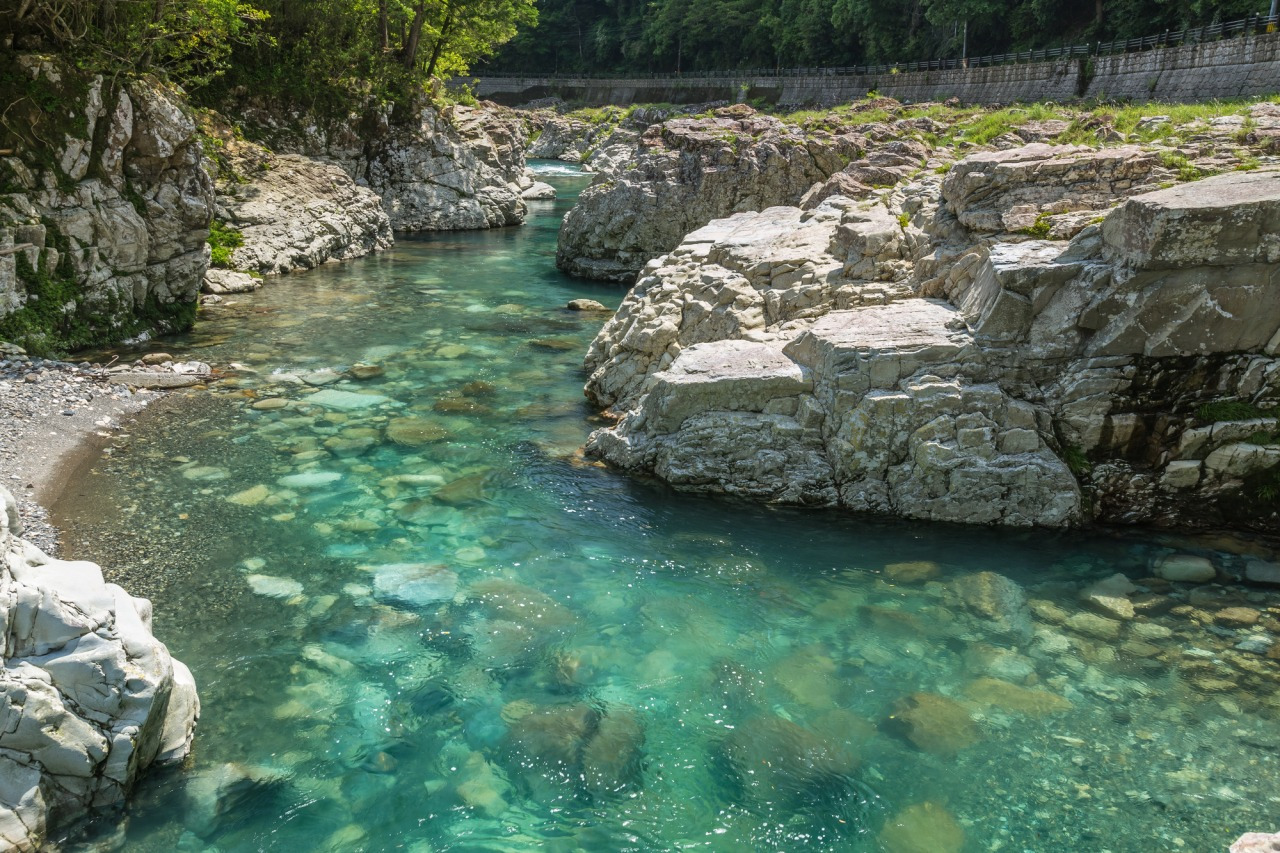滝の拝の夏の風物詩・滝壺に集まる鮎を素針にかけるトントン釣り