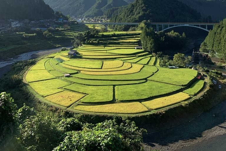 2025年9月　和歌山県内のイベント情報まとめ