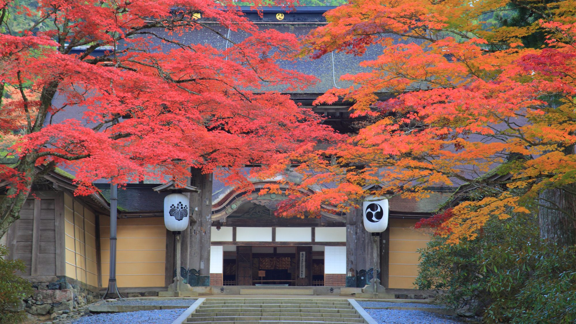 世界遺産　高野山とは？　～ひと足早く色づく秋の聖地～