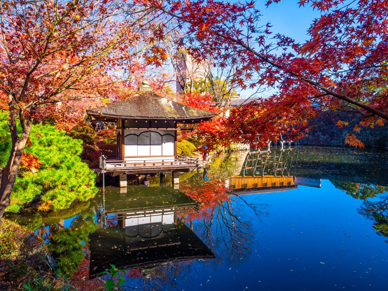 秋の和歌山城必見スポット　紅葉渓庭園